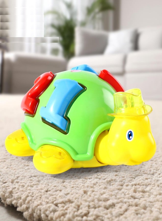 COSMOBABY لعبة السلحفاة المميزة من كومسوبابي - Image 2